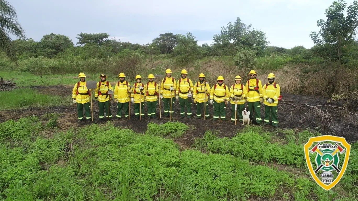 Brigada Contraincendios Clase III