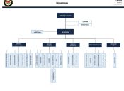 ORGANIGRAMA